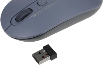 Мышь A4Tech Fstyler FG20 пепельный/синий оптическая 2000dpi беспров. USB для ноутбука 4but (FG20 ASH BLUE) - купить недорого с доставкой в интернет-магазине