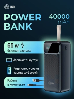 Мобильный аккумулятор Cactus CS-PBFSND-40000 40000mAh 65W 3A черный - купить недорого с доставкой в интернет-магазине