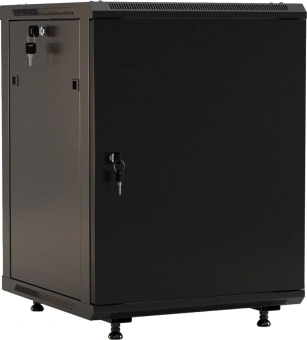 Шкаф коммутационный Hyperline (TWB-FC-1266-SR-RAL9004) настенный 12U 600x600мм пер.дв.металл 2 бок.пан. задн.дв.спл.стал.лист 60кг черный 650мм IP20 сталь - купить недорого с доставкой в интернет-магазине