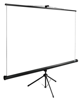 Экран Cactus 165x220см TriExpert CS-PSTE-220x165-BK 4:3 напольный рулонный черный - купить недорого с доставкой в интернет-магазине
