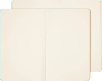 Блокнот Moleskine LIMITED EDITION CAHIER MUSEE D`ORSAY SKCAHL6911S3NL Large 130х210мм обложка картон 120стр. нелинованный мягкая обложка синий/коричневый (2шт) - купить недорого с доставкой в интернет-магазине