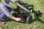 Газонокосилка роторная Greenworks GD60LM51SP (2514307) - купить недорого с доставкой в интернет-магазине