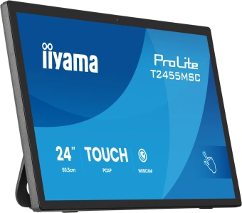Монитор Iiyama 23.8" ProLite T2455MSC-B2 черный IPS LED 5ms 16:9 HDMI M/M глянцевая 1000:1 400cd 178гр/178гр 1920x1080 DP FHD USB Touch 4.4кг - купить недорого с доставкой в интернет-магазине