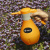 Опрыскиватель Deko DKSP14 аккум. 2л оранжевый/серый (065-0952) - купить недорого с доставкой в интернет-магазине