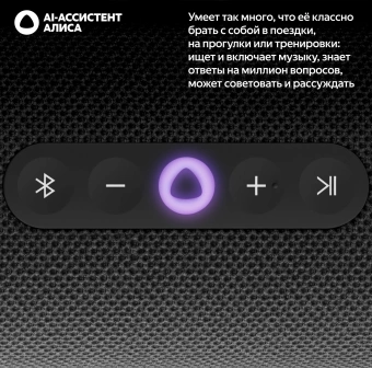 Умная колонка Yandex Стрит Алиса черный 30W 2.0 BT/Wi-Fi 10м 3300mAh (YNDX-00030BLK) - купить недорого с доставкой в интернет-магазине