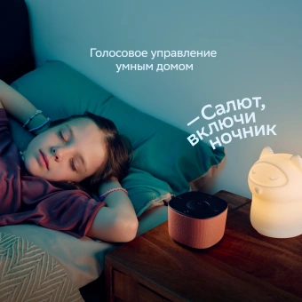 Умная колонка Sber Boom Home SBDV-00171G Салют серый 8W Mono BT/Wi-Fi (без.бат) - купить недорого с доставкой в интернет-магазине