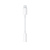 Переходник Apple MMX62ZM/A Jack 3.5 (f)-Lightning (m) белый - купить недорого с доставкой в интернет-магазине