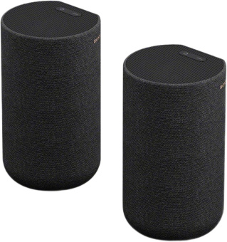 Комплект акустики Sony SA-RS5 3.0 180Вт черный (в комплекте: 2 колонки) - купить недорого с доставкой в интернет-магазине
