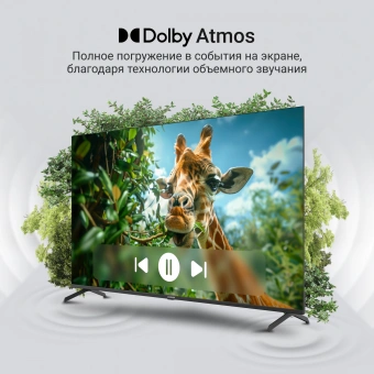 Телевизор QLED Digma 65" DM-LED65UQB31 Google TV Frameless Metal черный/черный 4K Ultra HD 60Hz MEMC DVB-T DVB-T2 DVB-C DVB-S DVB-S2 USB WiFi Smart TV - купить недорого с доставкой в интернет-магазине