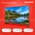 Телевизор LED Starwind 43" SW-LED43SG300 Яндекс.ТВ Frameless черный FULL HD 60Hz DVB-T DVB-T2 DVB-C DVB-S DVB-S2 USB WiFi Smart TV - купить недорого с доставкой в интернет-магазине
