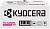 Картридж лазерный Kyocera TK-5450M 1T0C0DBNL0 пурпурный (3200стр.) для Kyocera Kyocera ECOSYS PA2600cx, ECOSYS PA2600cwx, ECOSYS MA2600cfx, ECOSYS MA2600cwfx