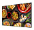 Экран на раме Cactus 90" 114x201см Alr Expert CS-PSALR-201X114 16:9 настенный натяжной