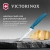 Нож кухонный Victorinox Swiss Classic (6.7732.C1) стальной универсальный для чистки овощей и фруктов лезв.100мм серрейт. заточка синий - купить недорого с доставкой в интернет-магазине