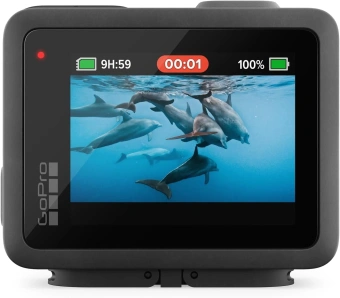 Экшн-камера GoPro HERO 1xCMOS 12Mpix черный - купить недорого с доставкой в интернет-магазине