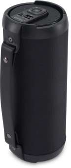 Колонка порт. Digma D-PS1520 черный/черный 16W 1.0 BT 10м 1500mAh (SP1520B) - купить недорого с доставкой в интернет-магазине