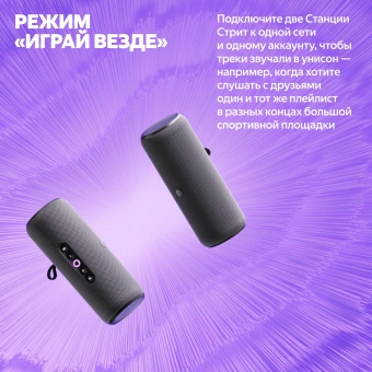 Умная колонка Yandex Стрит Алиса черный 30W 2.0 BT/Wi-Fi 10м 3300mAh (YNDX-00030BLK) - купить недорого с доставкой в интернет-магазине