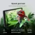 Планшет Digma Q8 SC9863A (1.6) 8C RAM3Gb ROM32Gb 8" IPS 1280x800 4G 2Sim Android 14 серый 5Mpix 2Mpix BT WiFi microSD 128Gb 4500mAh - купить недорого с доставкой в интернет-магазине