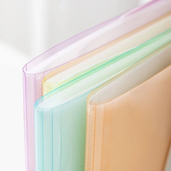 Папка с 30 прозр.вклад. Deli EB033 A4 полипропилен ассорти - цена, купить или заказать с доставкой в интернет-магазине Папка с 30 прозр.вклад. Deli EB033 A4 полипропилен ассорти - купить недорого с доставкой в интернет-магазине