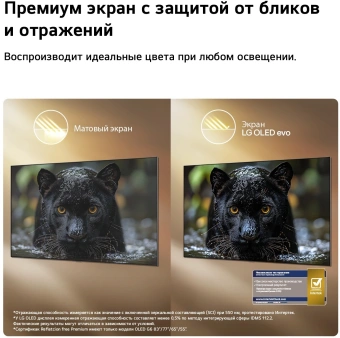 Телевизор OLED LG 55" OLED55G6RLA.ARU атласное серебро 4K Ultra HD 120Hz DVB-T2 DVB-C DVB-S2 USB WiFi Smart TV (RUS) - купить недорого с доставкой в интернет-магазине