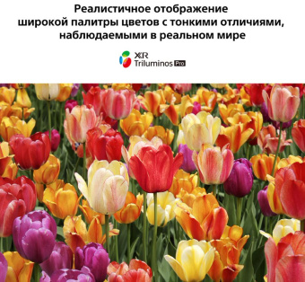 Телевизор LED Sony 75" XR-75X90J BRAVIA черный 4K Ultra HD 100Hz DVB-T DVB-T2 DVB-C DVB-S DVB-S2 USB WiFi Smart TV - купить недорого с доставкой в интернет-магазине