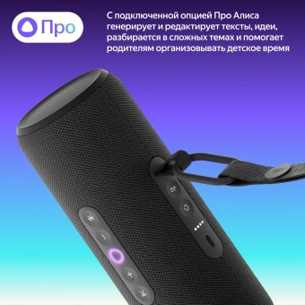 Умная колонка Yandex Стрит Алиса черный 30W 2.0 BT/Wi-Fi 10м 3300mAh (YNDX-00030BLK) - купить недорого с доставкой в интернет-магазине