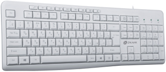 Клавиатура Оклик 305M белый USB Multimedia (1875227) - купить недорого с доставкой в интернет-магазине