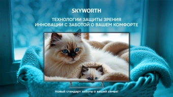 Телевизор QLED Skyworth 55" 55Q66H Google TV Frameless черный/серебристый 4K Ultra HD 60Hz DVB-T DVB-T2 DVB-C DVB-S DVB-S2 USB WiFi Smart TV - купить недорого с доставкой в интернет-магазине