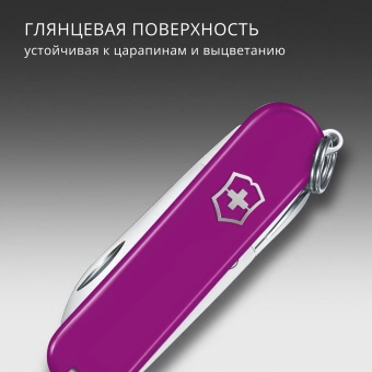 Нож перочинный Victorinox Classic SD Tasty Grape (0.6223.52G) 58мм 7функц. подар.коробка - купить недорого с доставкой в интернет-магазине