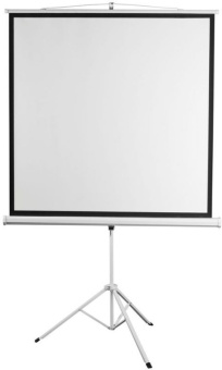 Экран Digis 96" 172x172см Kontur-D DSKD-1104 1:1 напольный рулонный - купить недорого с доставкой в интернет-магазине