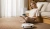 Пылесос-робот Xiaomi Vacuum and Mop H50 Pro 55Вт белый - цена, купить или заказать с доставкой в интернет-магазине Пылесос-робот Xiaomi Vacuum and Mop H50 Pro 55Вт белый - купить недорого с доставкой в интернет-магазине