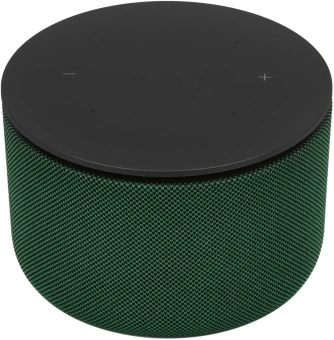 Умная колонка Yandex Станция Мини 3 Про Алиса зеленый 18W 1.0 BT/Wi-Fi (YNDX-00059GRN) - купить недорого с доставкой в интернет-магазине