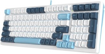 Клавиатура A4Tech Fstyler FS300 механическая белый/синий USB for gamer LED (FS300 PANDA SNOWBOARDING) - цена, купить или заказать с доставкой в интернет-магазине Клавиатура A4Tech Fstyler FS300 механическая белый/синий USB for gamer LED (FS300 PANDA SNOWBOARDING) - купить недорого с доставкой в интернет-магазине