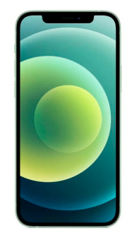 Смартфон Apple A2403 iPhone 12 64Gb 4Gb зеленый моноблок 3G 4G 1Sim 6.1" 1170x2532 iOS 15 12Mpix 802.11 a/b/g/n/ac/ax NFC GPS TouchSc Protect - купить недорого с доставкой в интернет-магазине