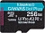 Флеш карта microSDXC 256GB Kingston SDCG4/256GBSP Canvas Go! Plus V10 A2 w/o adapter