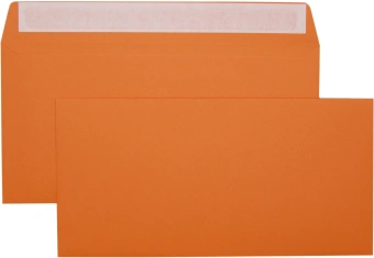 Конверт Silwerhof Eco 225А.10A C65 114x229мм ассорти клеевой слой 120г/м2 (pack:10pcs) - купить недорого с доставкой в интернет-магазине