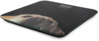 Весы напольные электронные Hyundai H-BS03674 макс.180кг черный - купить недорого с доставкой в интернет-магазине