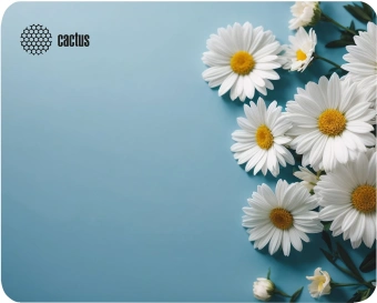 Коврик для мыши Cactus Daisies 250x200x3мм (CS-MP-D07S) - цена, купить или заказать с доставкой в интернет-магазине Коврик для мыши Cactus Daisies 250x200x3мм (CS-MP-D07S) - купить недорого с доставкой в интернет-магазине