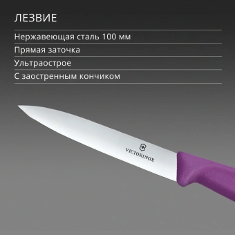 Нож кухонный Victorinox Swiss Classic (6.7705.C1) для овощей лезв.100мм прямая заточка пурпурный - купить недорого с доставкой в интернет-магазине