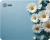 Коврик для мыши Cactus Daisies 250x200x3мм (CS-MP-D07S) - цена, купить или заказать с доставкой в интернет-магазине Коврик для мыши Cactus Daisies 250x200x3мм (CS-MP-D07S) - купить недорого с доставкой в интернет-магазине
