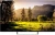 Телевизор LED PolarLine 43" 43PU11TC-SM черный 4K Ultra HD 50Hz DVB-T DVB-T2 DVB-C DVB-S DVB-S2 WiFi Smart TV (RUS) - купить недорого с доставкой в интернет-магазине