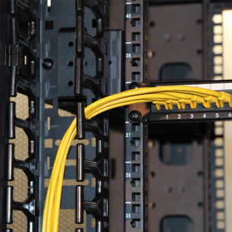 Кабельный органайзер вертикальный Lanmaster TWT-CBB-DVO-42U/M односторонний пальцы 42U шир.:19" глуб.:155мм (упак.:2шт) - купить недорого с доставкой в интернет-магазине