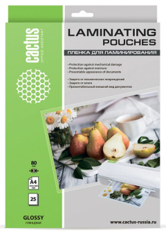 Пленка для ламинирования Cactus 80мкм A4 (25шт) глянцевая 216x303мм CS-LPGA48025 - купить недорого с доставкой в интернет-магазине