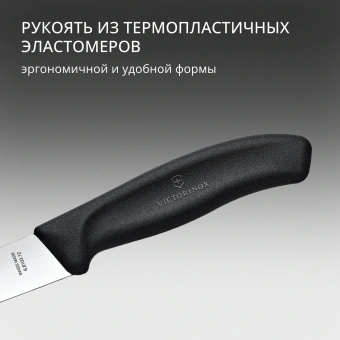 Нож кухонный Victorinox Swiss Classic (6.8103.12B) стальной разделочный лезв.120мм прямая заточка черный блистер - купить недорого с доставкой в интернет-магазине