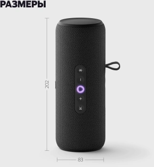 Умная колонка Yandex Стрит Алиса черный 30W 2.0 BT/Wi-Fi 10м 3300mAh (YNDX-00030BLK) - купить недорого с доставкой в интернет-магазине