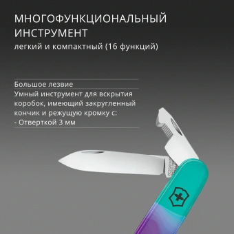 Нож перочинный Victorinox Companion Sydney Style (1.3909.E222) 91мм 16функц. ассорти подар.коробка в комплекте: шнурок на шею - купить недорого с доставкой в интернет-магазине