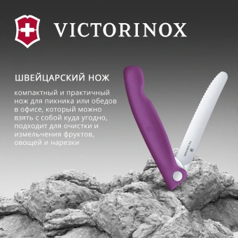 Нож кухонный Victorinox Swiss Classic 6.7835.FC1 стальной столовый лезв.110мм серрейт. заточка пурпурный карт.коробка - купить недорого с доставкой в интернет-магазине