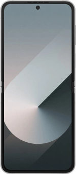 Смартфон Samsung SM-F741B Galaxy Z Flip 6 256Gb 12Gb серый раскладной 3G 4G 1Sim 6.7" 1080x2640 Android 14 50Mpix 802.11 a/b/g/n/ac/ax NFC GPS GSM900/1800 GSM1900 Protect - купить недорого с доставкой в интернет-магазине