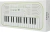 Синтезатор Casio SA-50 32клав. зеленый/белый - цена, купить или заказать с доставкой в интернет-магазине Синтезатор Casio SA-50 32клав. зеленый/белый - купить недорого с доставкой в интернет-магазине