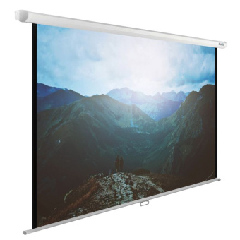 Экран Cactus 240x240см WallExpert CS-PSWE-240x240-WT 1:1 настенно-потолочный рулонный - купить недорого с доставкой в интернет-магазине