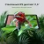 Планшет Digma EVE 1496E N4020 (2.8) 2C RAM8Gb ROM256Gb 11.6" IPS 1366x768 Windows 11 Home черный 5Mpix 5Mpix BT WiFi microSD 256Gb 5500mAh - купить недорого с доставкой в интернет-магазине